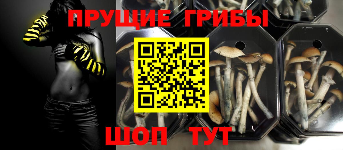Кострома  Галлюциногенные грибы MAGIC MUSHROOMS  Вход с VPN 